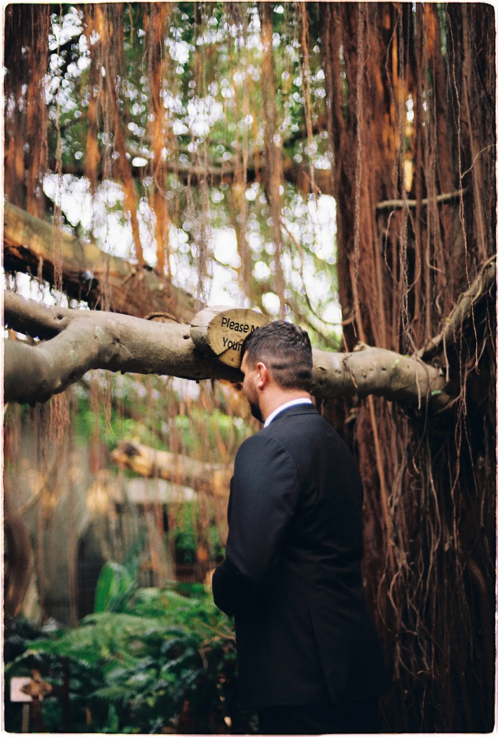 Groom beside an old banyan tree at An Lam Retreats, on film