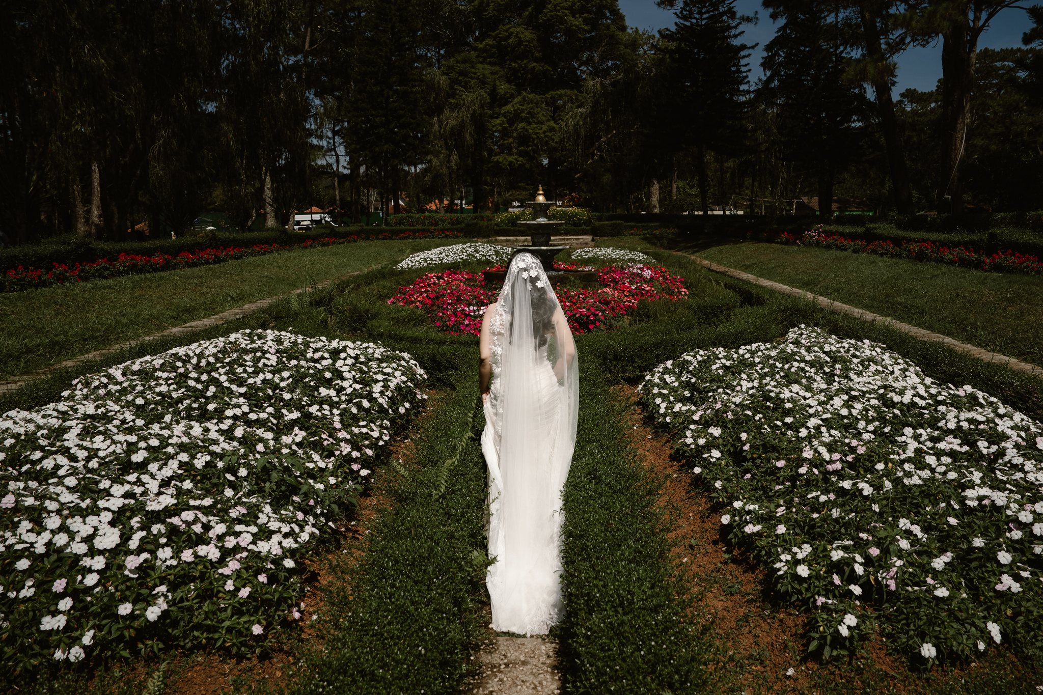 An & Phuong: A Three-Location Da Lat Pre-Wedding & Engagement Shoot, from Misty Suoi Tia to the Cau Dat Tea Hills