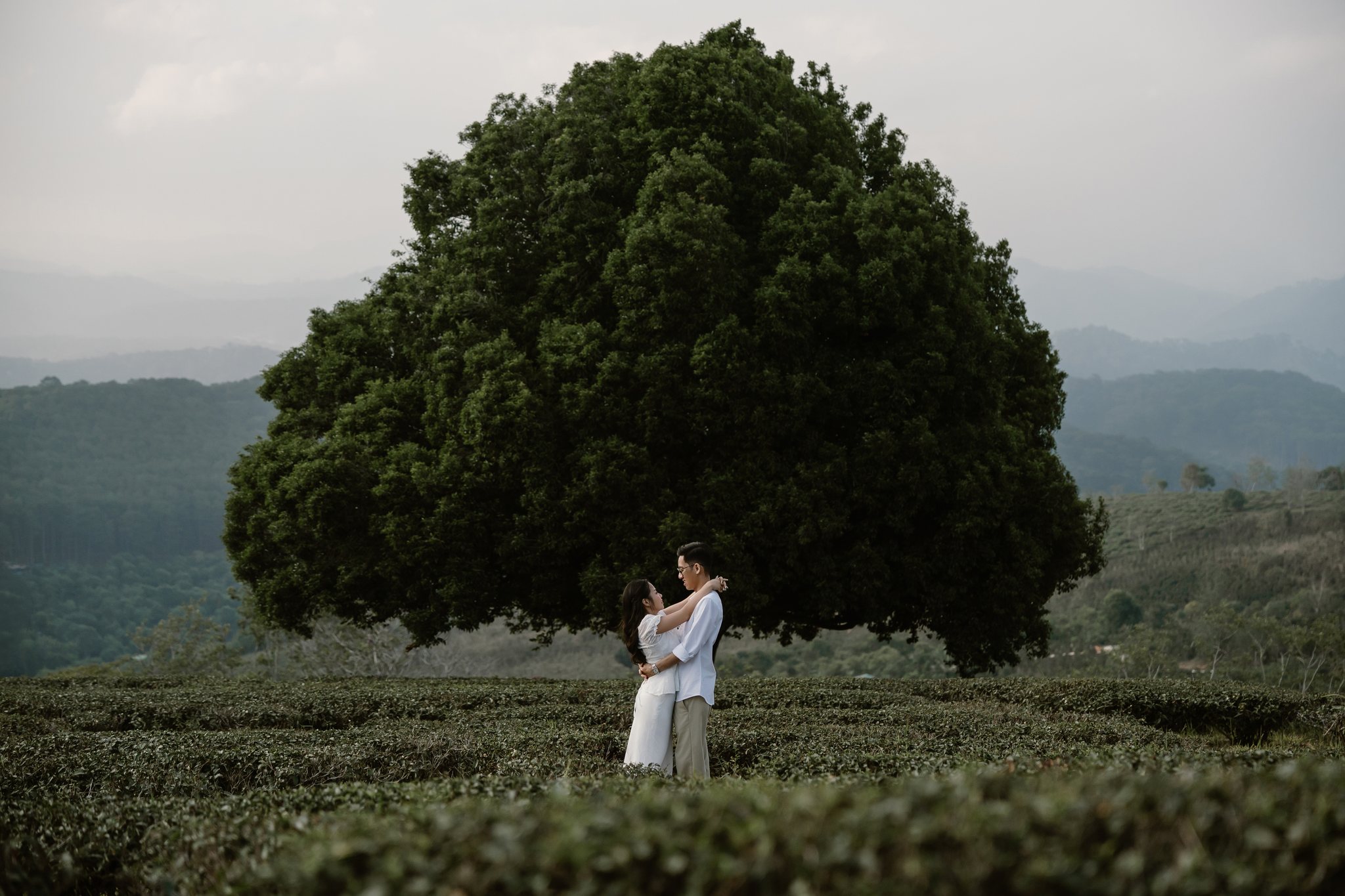 An & Phuong: A Three-Location Da Lat Pre-Wedding & Engagement Shoot, from Misty Suoi Tia to the Cau Dat Tea Hills