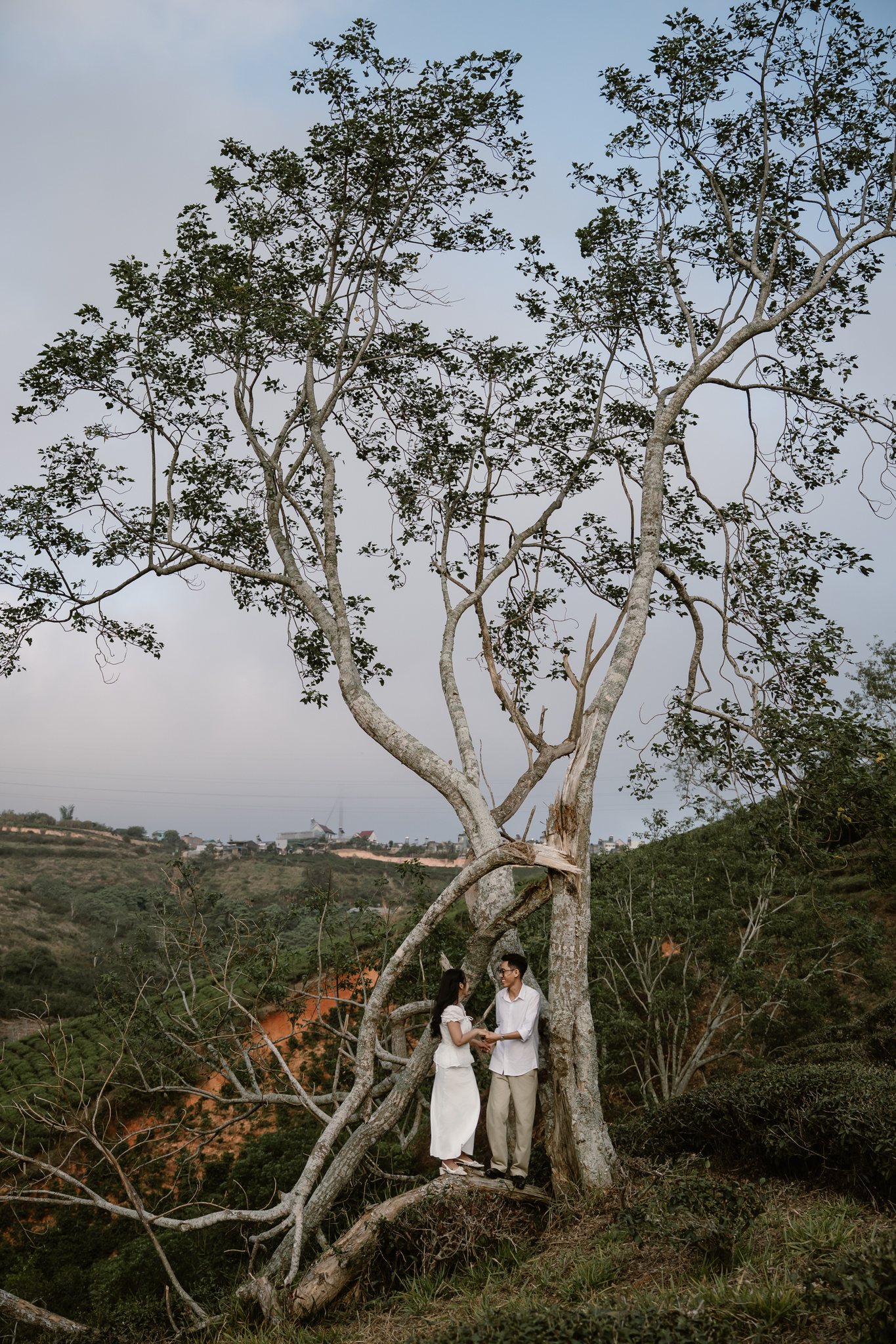 An & Phuong: A Three-Location Da Lat Pre-Wedding & Engagement Shoot, from Misty Suoi Tia to the Cau Dat Tea Hills