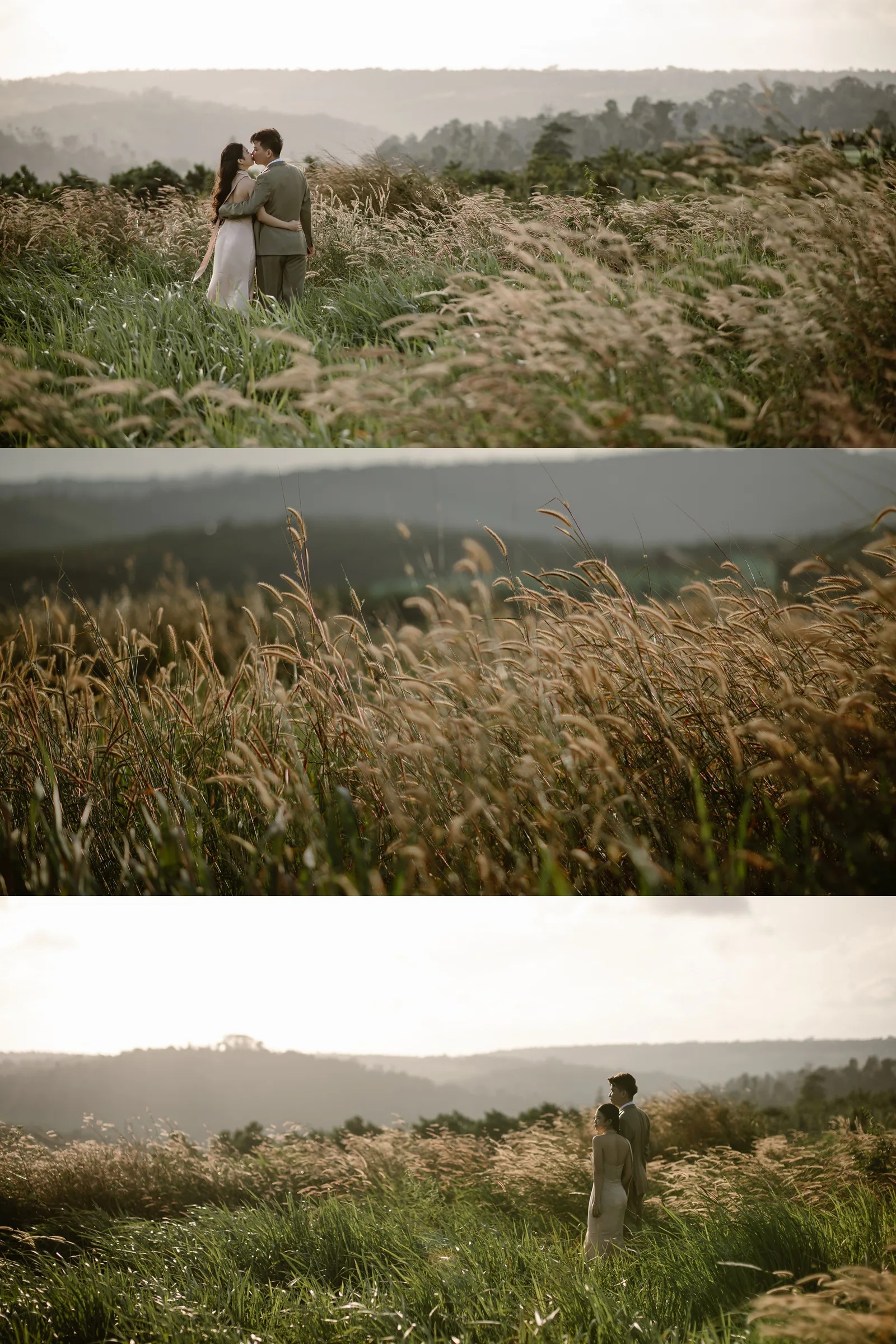 Wind, grass and love