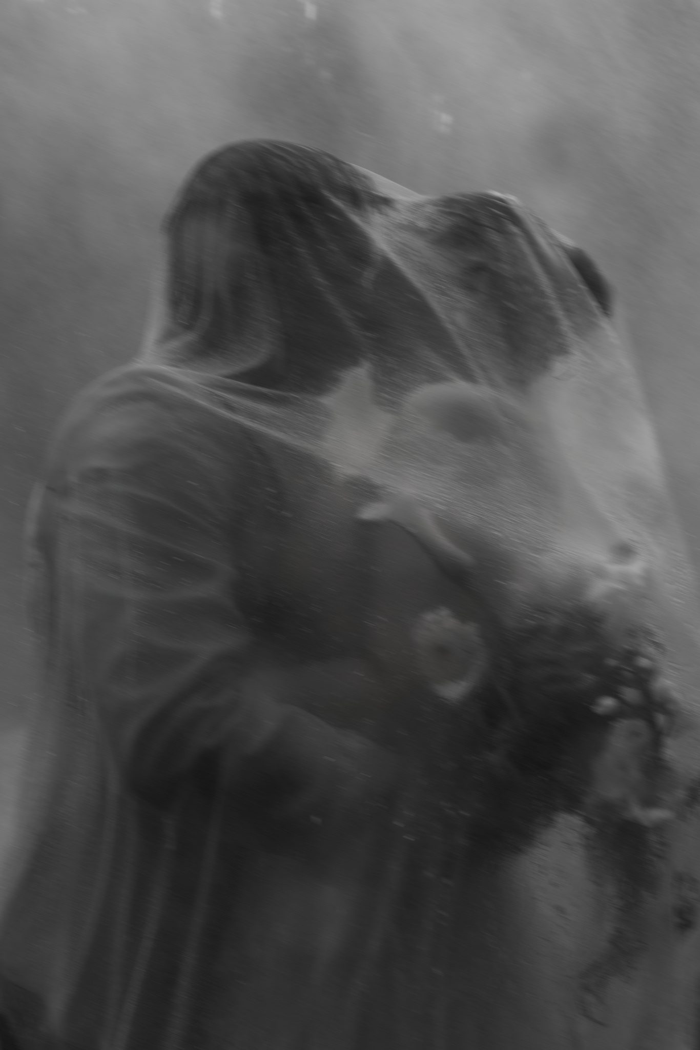 Almost dissolving into the mist, an embrace behind the veil.