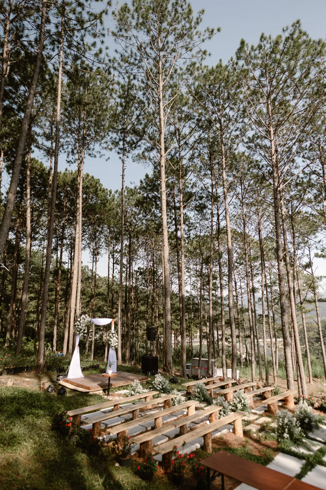 A Da Lat Destination Wedding in the Pine Forest, Huy & Tú