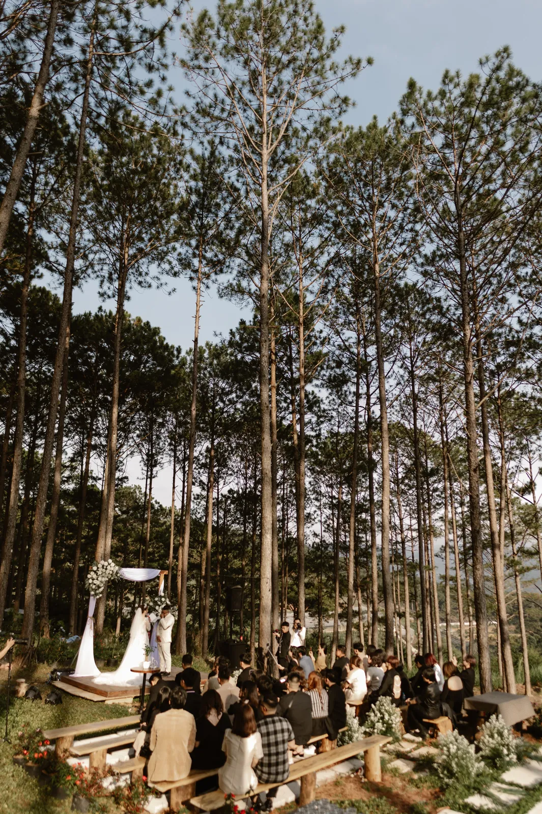 A Da Lat Destination Wedding in the Pine Forest, Huy & Tú