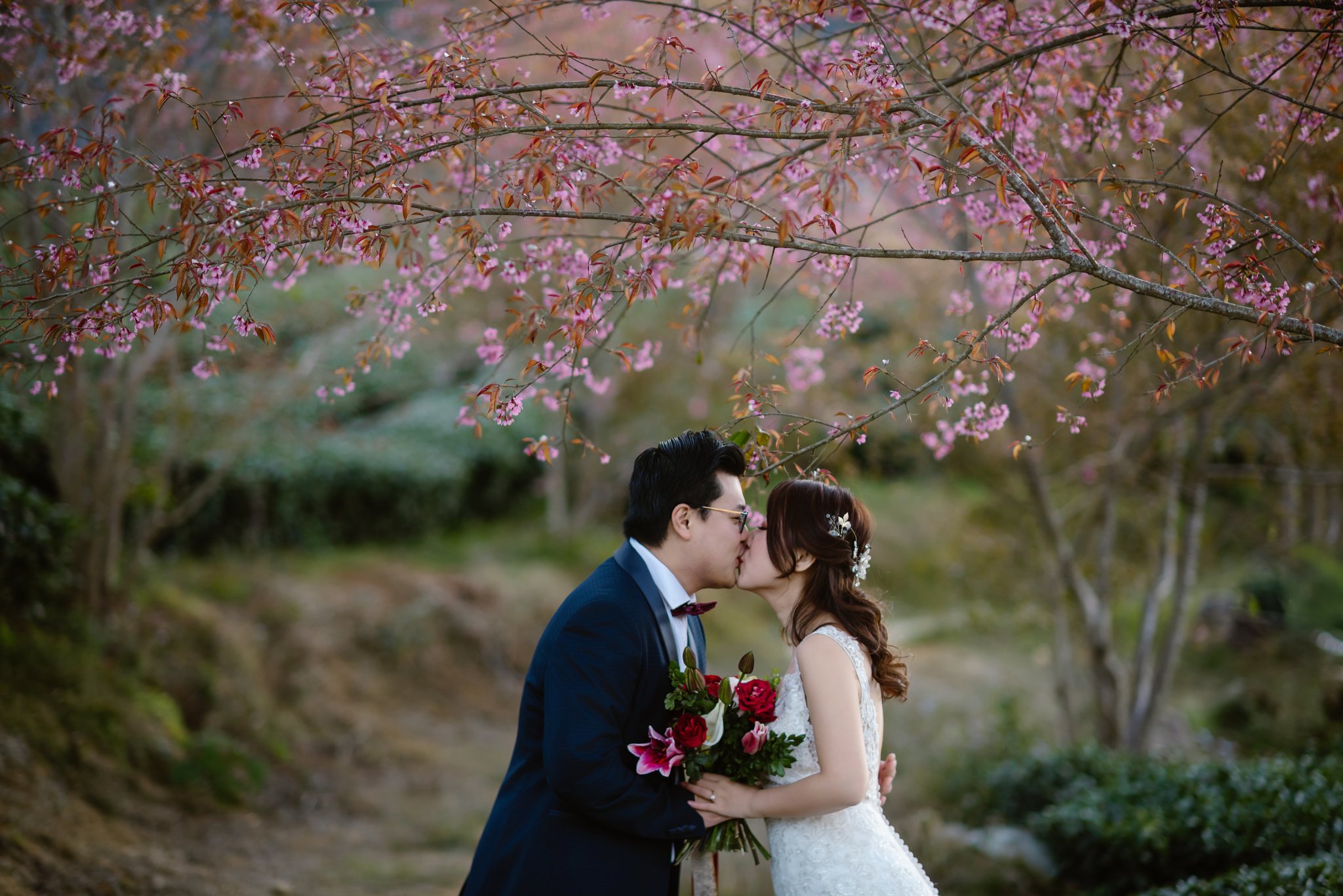 Among the blooming cherry blossoms, exactly what they asked for.