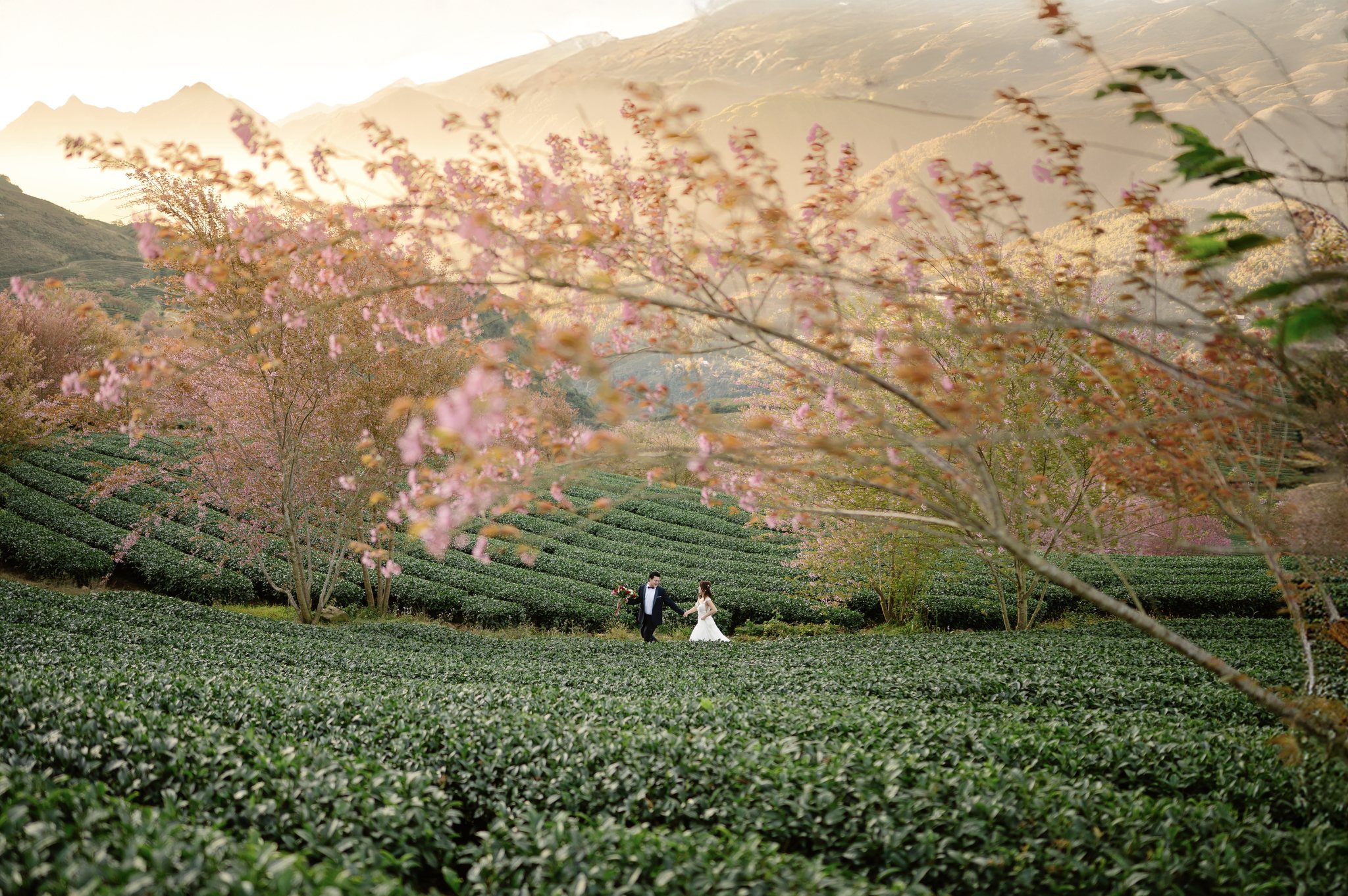 Sapa Pre-Wedding & Engagement Photos: Karen & Wilson's Cherry Blossom Love Story