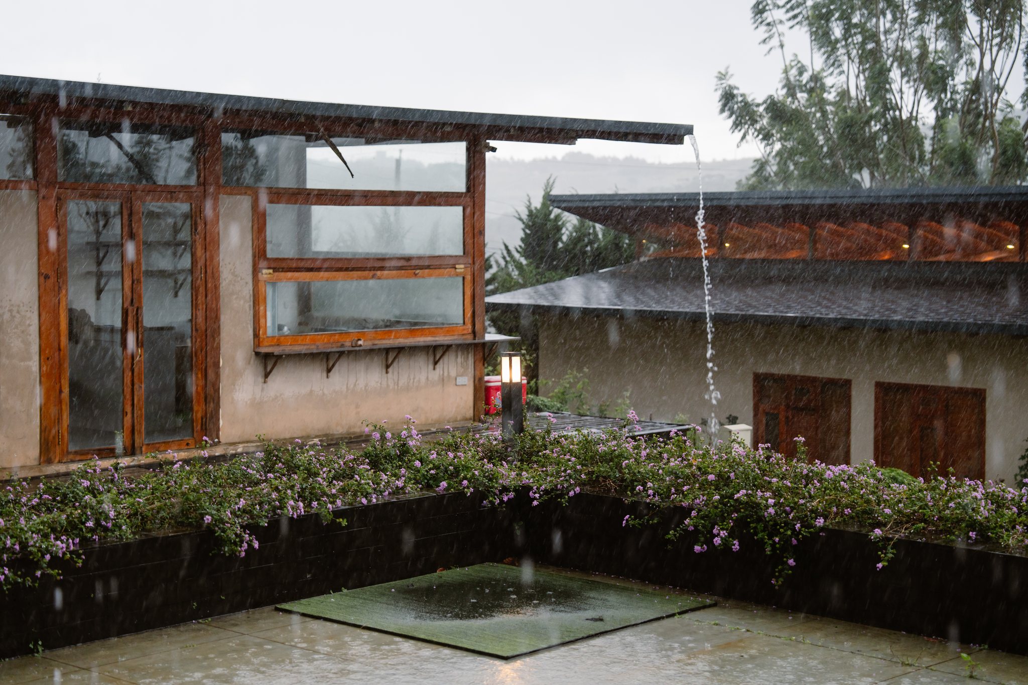 My & Loc: An Intimate Wedding in Bao Loc, Da Lat, and the Rain That Could Not Stop It