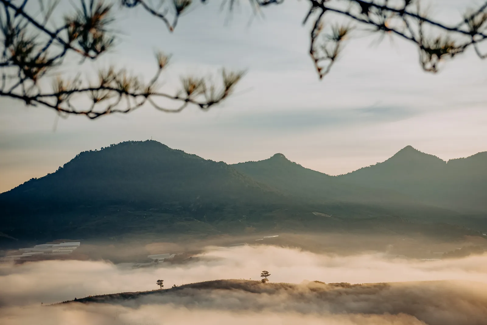 Quỳnh Anh & Trí: A Sunrise Da Lat Pre-Wedding Above a Sea of Clouds