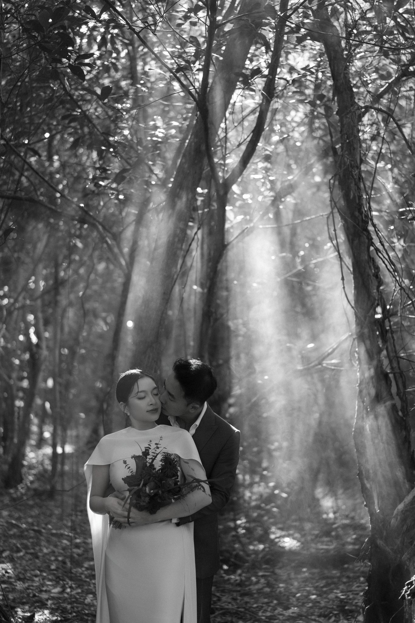 Shafts of light through the primeval melaleuca forest.