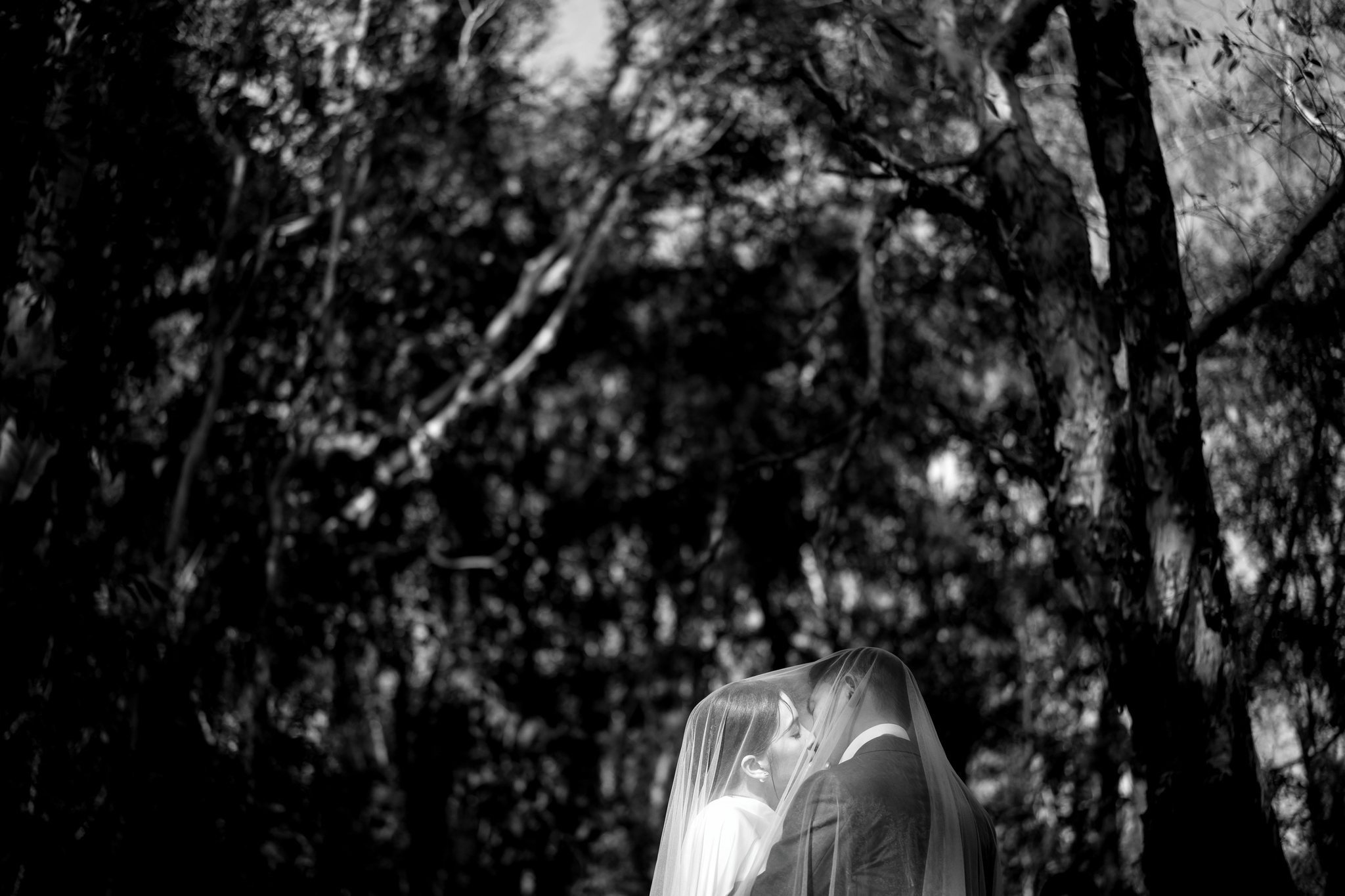 Ho Tram & Vung Tau Pre-Wedding & Engagement Shoot: A Cinematic Forest Near Saigon (Tim & Hai Anh)