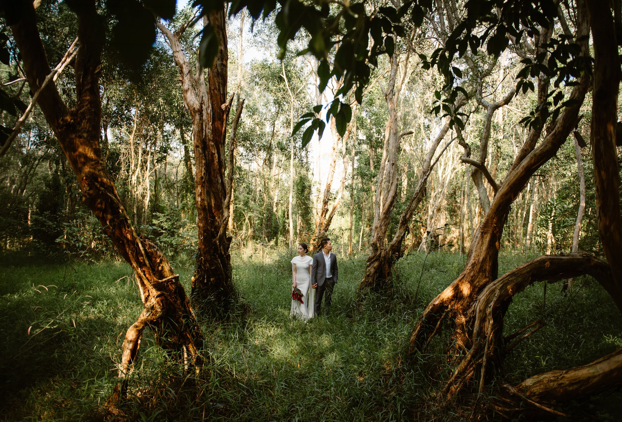Ho Tram & Vung Tau Pre-Wedding & Engagement Shoot: A Cinematic Forest Near Saigon (Tim & Hai Anh)