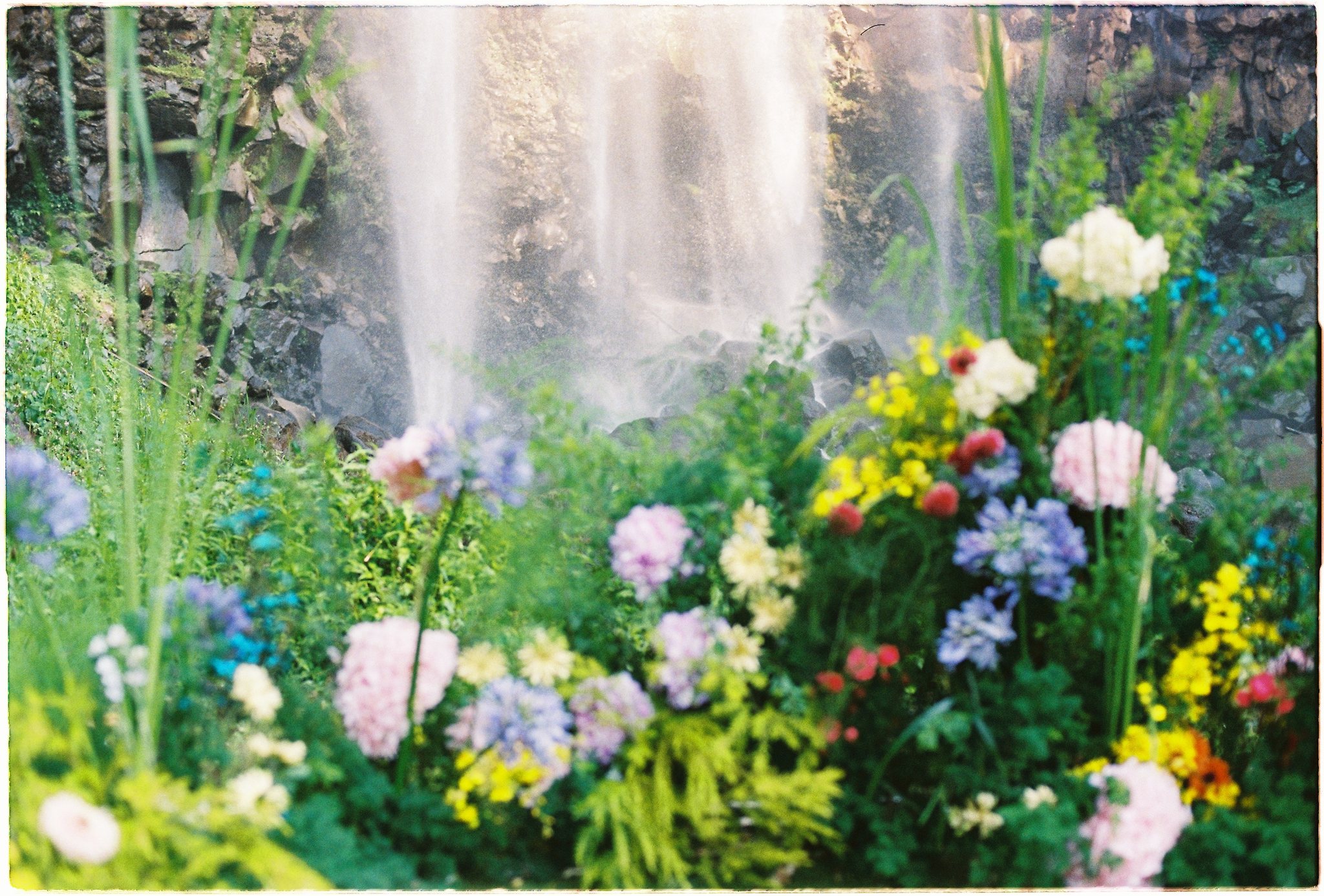 A Da Lat Waterfall Elopement on 35mm Film — Tiến Anh & Trân's Private Vow Ceremony at Liêng Chi Nha & Suối Tía