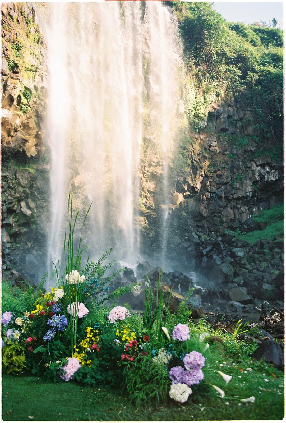 A Da Lat Waterfall Elopement on 35mm Film: Tiến Anh & Trân's Private Vow Ceremony at Liêng Chi Nha & Suối Tía