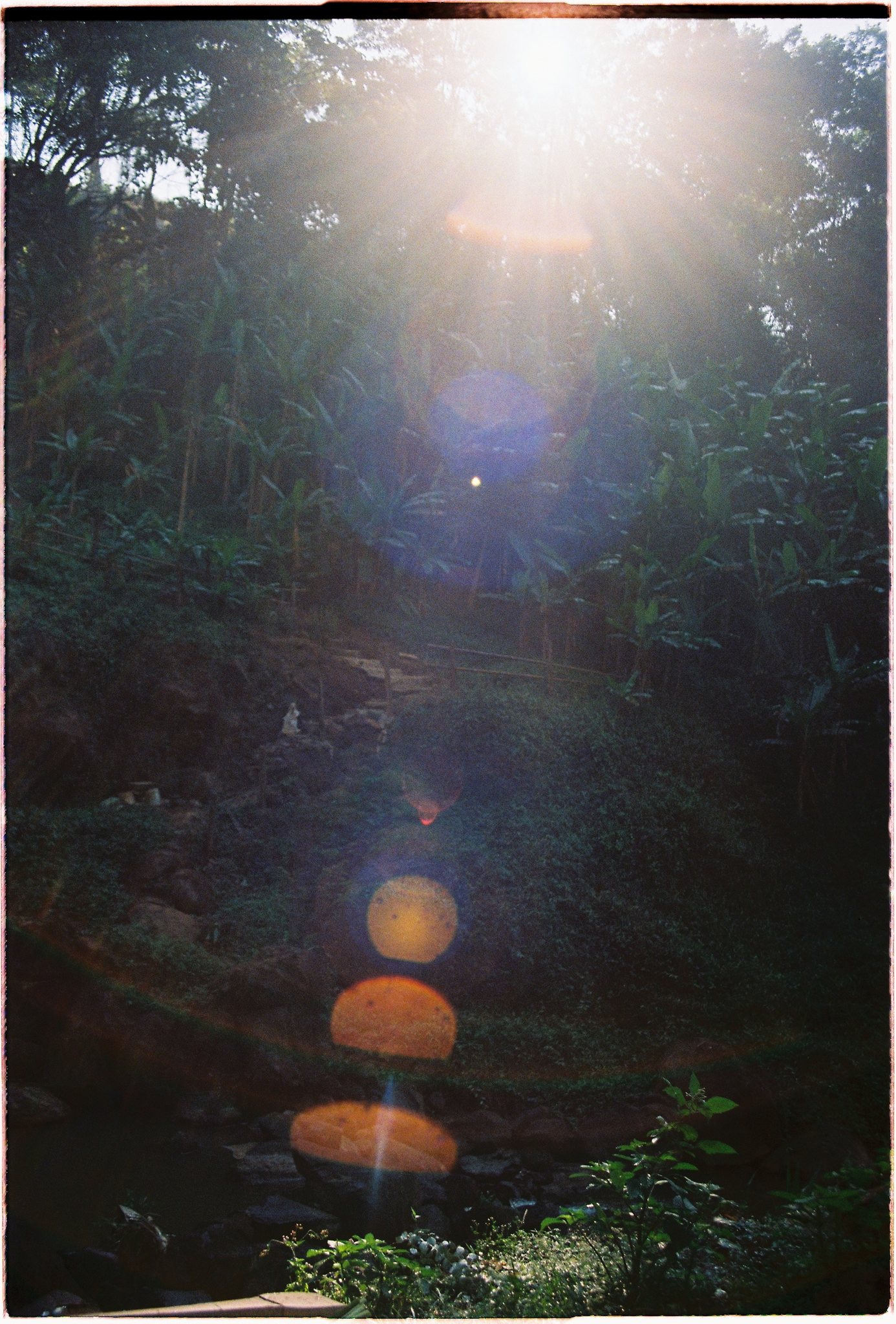 A Da Lat Waterfall Elopement on 35mm Film — Tiến Anh & Trân's Private Vow Ceremony at Liêng Chi Nha & Suối Tía