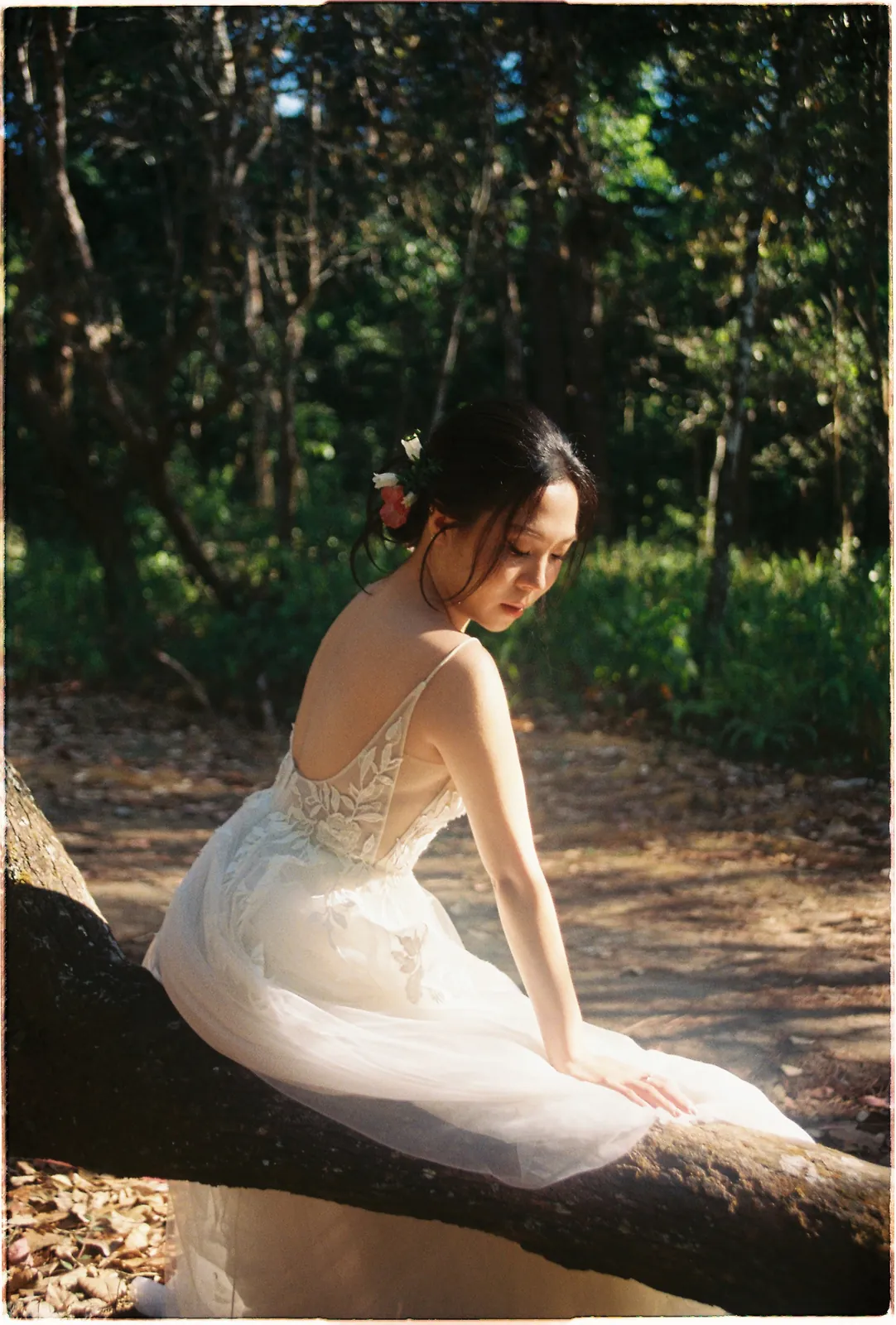 A Da Lat Waterfall Elopement on 35mm Film: Tiến Anh & Trân's Private Vow Ceremony at Liêng Chi Nha & Suối Tía