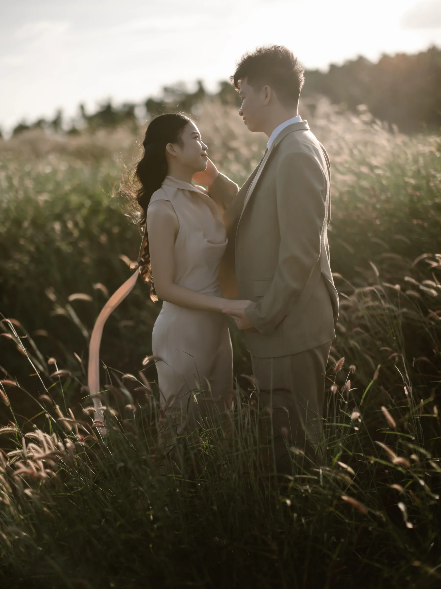 Golden hour in a field of wild elephant grass.
